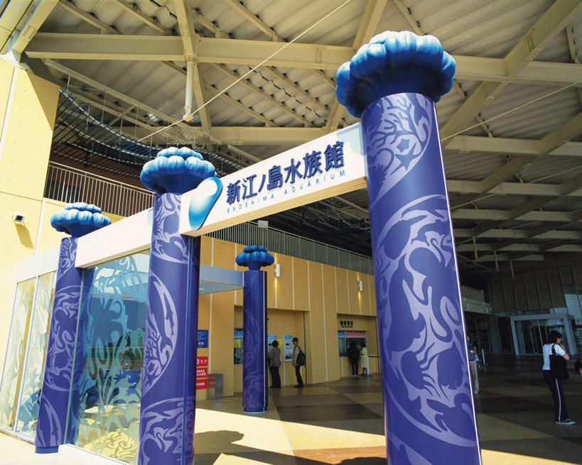 东方人,两个人,横图,室外,白天,仰视,度假,美景,门,城市风光,城市,神奈川,日本,亚洲,游客,表演,阴影,光线,日文,标志,文字,影子,字符,字母,屋顶,景观,神奈川县,顶棚,黄种人,娱乐,标识,水族馆,阳光,门框,享受,休闲,日本人,展示,景色,放松,海底世界,展览,饲养,东亚,收集,本州,关东地方,本州岛,日本国,日语,藤泽,藤泽市,极地海洋世界,男人,男性,年轻男性,年轻女性,女人,女性,亚洲人,彩图,低角度拍摄,全身