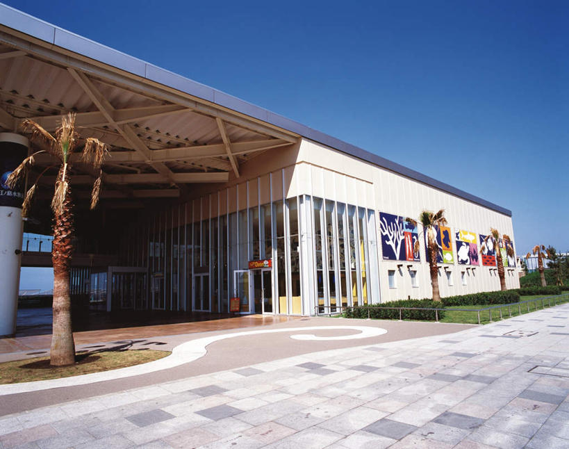 无人,横图,室外,白天,仰视,度假,美景,植物,城市风光,城市,道路,路,公路,棕榈树,叶子,神奈川,日本,亚洲,表演,景观,绿叶,交通,神奈川县,娱乐,水族馆,树,树木,蓝色,绿色,蓝天,天空,自然,天,享受,休闲,嫩叶,展示,景色,放松,海底世界,生长,晴朗,成长,展览,饲养,东亚,棕榈叶,收集,本州,万里无云,关东地方,本州岛,日本国,藤泽,藤泽市,极地海洋世界,叶,叶片,晴空,晴空万里,马路,彩图,低角度拍摄