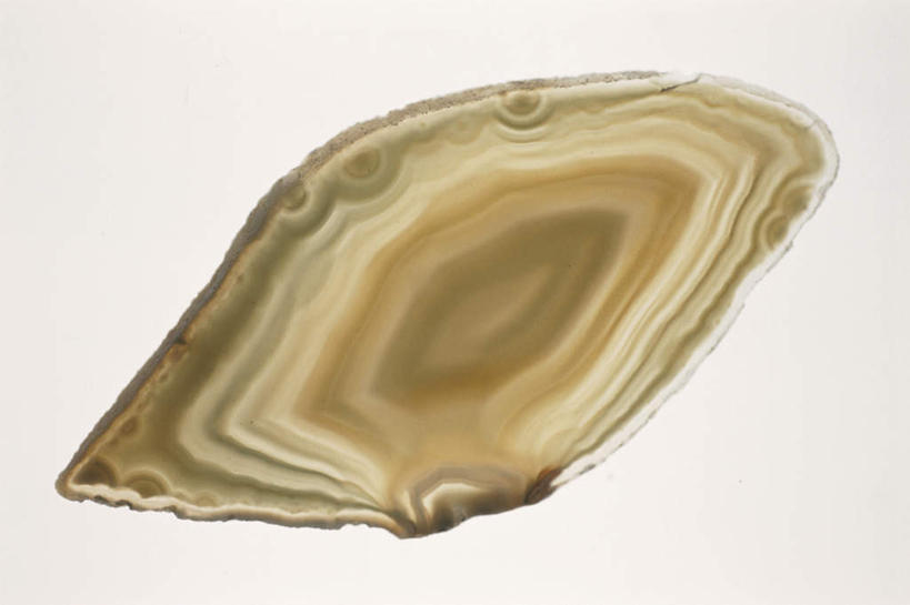 无人,横图,俯视,室内,特写,白天,白色背景,石头,静物,切开,纹路,石子,椭圆,椭圆形,纹理,一个,黄色,切,摄影,影棚,单个,横截面,剖面,切面,肌理,石块,岩石,彩图,高角度拍摄,影棚拍摄,拍摄