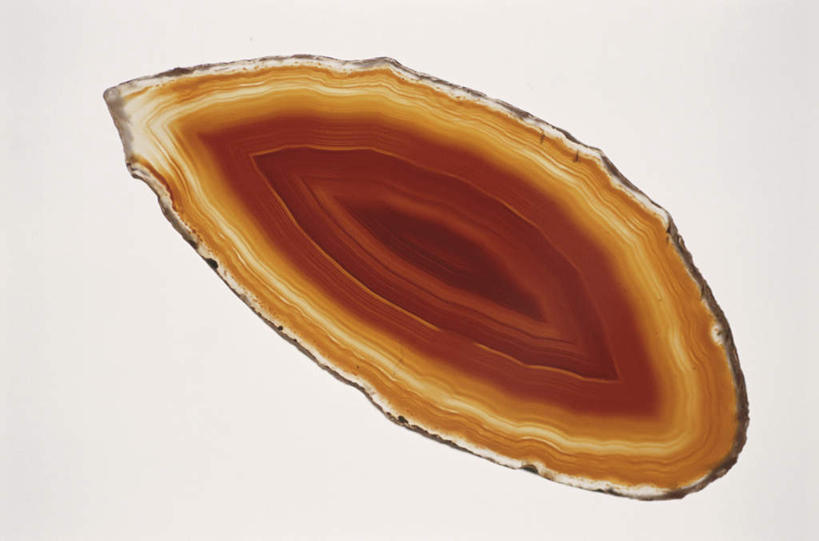 无人,横图,俯视,室内,特写,白天,白色背景,石头,静物,切开,纹路,石子,椭圆,椭圆形,纹理,一个,黄色,切,摄影,影棚,单个,横截面,剖面,切面,肌理,石块,岩石,彩图,高角度拍摄,影棚拍摄,拍摄