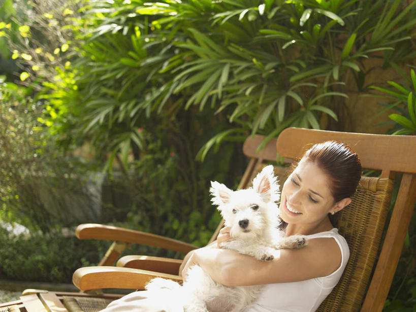 西方人,一个人,坐,抱,横图,室外,白天,侧面,树林,植物,宠物,狗,椅子,欧洲,欧洲人,仅一个年轻女性,仅一个女性,仅一个人,阴影,服装,光线,影子,梗犬,注视,休闲装,树,树木,一只,衣服,绿色,白色,阳光,自然,动物,观察,看,休闲,休闲服,可爱,服饰,生长,成长,抱着,观看,察看,西高地白梗,搂着,关注,忠诚,年轻女性,女人,女性,白种人,犬,搂,搂抱,坐着,半身,彩图,西部高地白梗