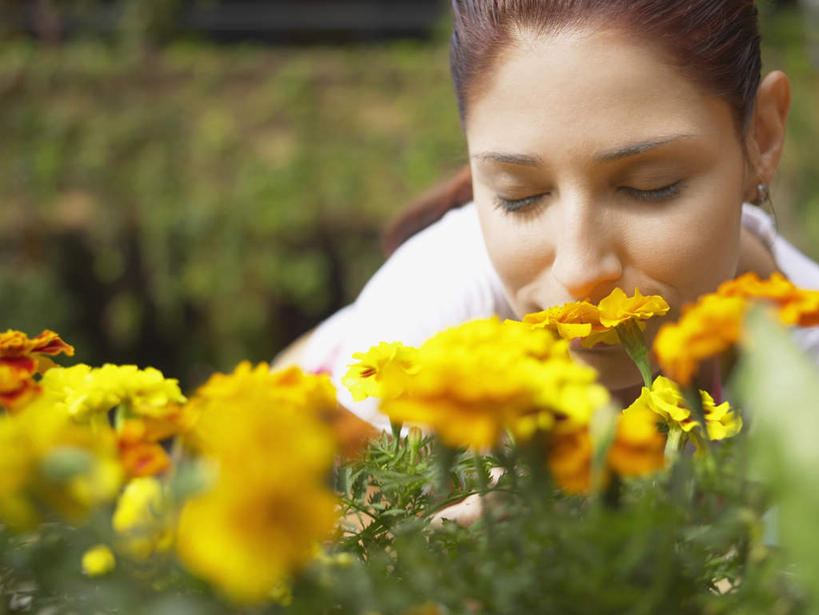 西方人,脸,头,脸颊,一个人,花园,站,闭眼,横图,室外,特写,白天,正面,花圃,植物,叶子,欧洲,欧洲人,仅一个年轻女性,仅一个女性,仅一个人,许多,服装,朦胧,模糊,盛开,绿叶,休闲装,闻,花,花瓣,花朵,花卉,鲜花,衣服,黄色,阳光,花蕊,站着,休闲,休闲服,嫩叶,菊花,服饰,孔雀菊,年轻女性,女人,女性,白种人,头部,脸部,脸蛋,面部,叶,叶片,小花园,闭眼睛,闭着眼,闭着眼睛,站立,半身,彩图,爽朗,红黄草,孔雀草