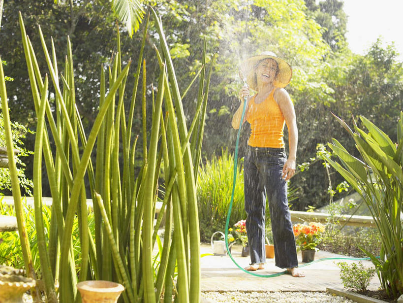 西方人,一个人,走,笑,微笑,露齿笑,横图,室外,白天,正面,花海,花圃,水,植物,帽子,叶子,花盆,欧洲,欧洲人,仅一个年轻女性,仅一个女性,仅一个人,飞溅,服装,盛开,溅,液体,水滴,花蕾,注视,休闲装,水管,浇花,水珠,花,花瓣,花朵,花卉,鲜花,树,树木,衣服,绿色,自然,遮阳帽,花丛,花束,花田,花苞,花蕊,观察,看,休闲,赤脚,休闲服,橙色,浇,服饰,生长,成长,观看,察看,关注,喷洒,年轻女性,女人,女性,白种人,园丁,步行,走路,彩图,全身