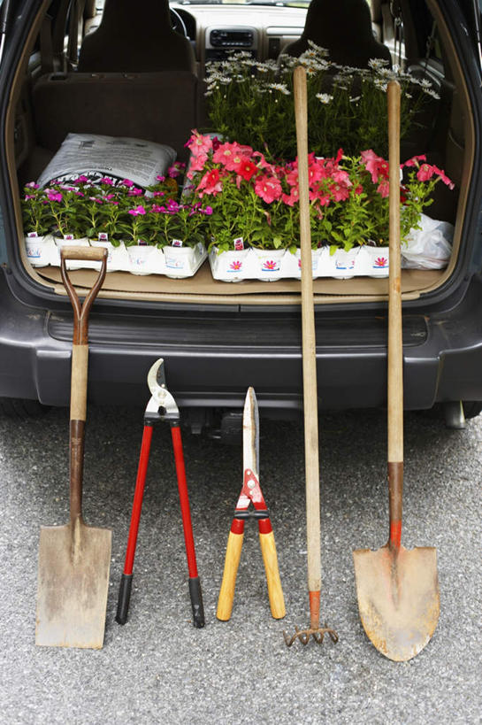 无人,竖图,俯视,室外,白天,道路,路,公路,汽车,叶子,五个,一排,整齐,盛开,铲子,工具,园艺,交通,花蕾,车,花,花瓣,花朵,鲜花,排列,绿色,后备箱,交通工具,轿车,花束,花苞,花蕊,钉耙,队列,园艺剪,园艺剪刀,马路,彩图,高角度拍摄