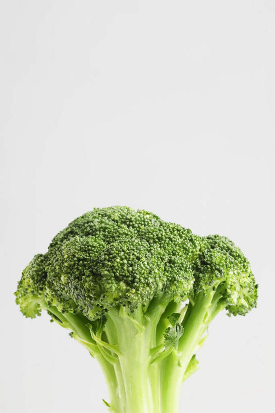 无人,竖图,俯视,室内,特写,白天,白色背景,蔬菜,一棵,新鲜,花菜,花椰菜,西兰花,食品,食物,一个,绿色,摄影,有机食品,绿色食品,影棚,单个,彩图,高角度拍摄,影棚拍摄,拍摄