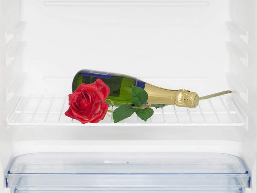 红酒,葡萄酒,无人,横图,俯视,室内,特写,白天,白色背景,爱情,幸福,纯洁,热情,玫瑰,叶子,盛开,电器,格子,冰箱,绿叶,玫瑰花,酒类,浪漫,花蕾,冷冻,冷柜,酒,酒瓶,花,花瓣,花朵,鲜花,饮料,一个,隔板,冷藏柜,花苞,花蕊,温暖,温馨,嫩叶,红葡萄酒,恩爱,冷藏,单个,储藏,和睦,放置,家电,家用电器,感动,花梗,尊敬,保鲜,天真,刺玫花,徘徊花,叶,叶片,彩图,高角度拍摄,融洽