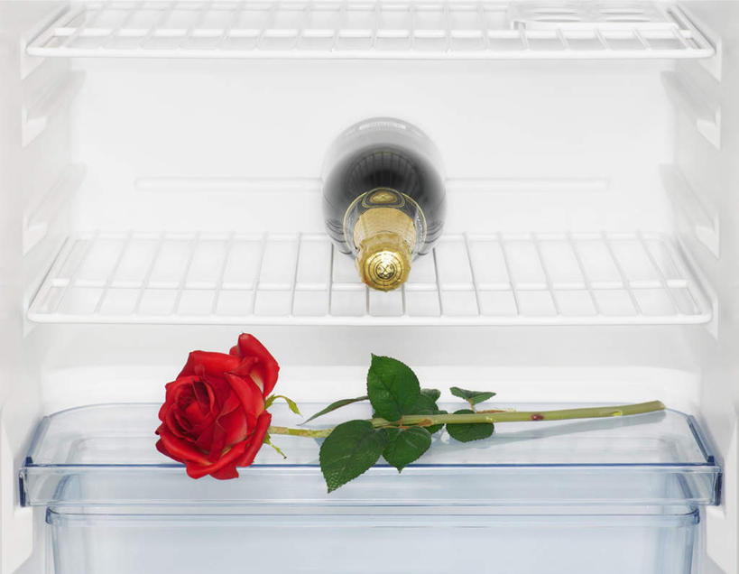 红酒,葡萄酒,无人,横图,俯视,室内,特写,白天,白色背景,爱情,幸福,纯洁,热情,玫瑰,叶子,盛开,电器,格子,冰箱,绿叶,玫瑰花,酒类,浪漫,花蕾,冷冻,冷柜,酒,酒瓶,花,花瓣,花朵,鲜花,饮料,一个,隔板,冷藏柜,花苞,花蕊,温暖,温馨,嫩叶,红葡萄酒,恩爱,冷藏,单个,储藏,和睦,放置,家电,家用电器,感动,花梗,尊敬,保鲜,天真,刺玫花,徘徊花,叶,叶片,彩图,高角度拍摄,融洽