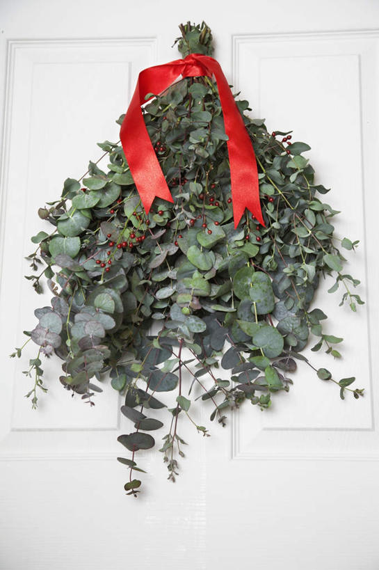 无人,竖图,室内,特写,白天,白色背景,正面,植物,门,叶子,一捆,吊挂,悬挂,丝带,纹理,绿叶,挂,冬青树,树,树木,红色,绿色,自然,门框,嫩叶,生长,成长,肌理,叶,叶片,叶脉,彩图