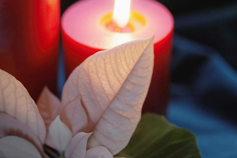 无人,横图,俯视,室内,特写,白天,桌面,蜡烛,圣诞节,阴影,节日,朦胧,模糊,庆祝,反射,布,火焰,影子,烛光,圣诞红,一品红,燃烧,文化,两个,红色,蓝色,圣诞花,点燃,庆典,纪念,彩图,高角度拍摄