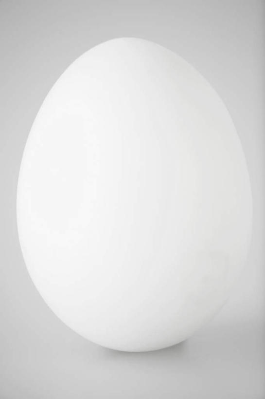 无人,横图,室内,特写,白天,正面,灰色背景,椭圆,蛋,鸡蛋,食物,一个,白色,摄影,影棚,单个,卫生,纯真,洁净,光明,恬静,中间色,朴素,清白,彩图,影棚拍摄,拍摄