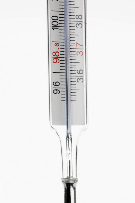 无人,竖图,室内,特写,白天,白色背景,正面,安全,生活用品,桌面,桌子,静物,阴影,反射,医学,测量,器材,温度计,影子,显示屏,一个,体温计,摄影,影棚,单个,快速,温度,感冒,医疗,卫生,准确,体温,精度,精准,发烧,电子温度计,电子体温计,流感,物理,感温头,温度传感器,读数,快捷,医用温度计,量温棒,热电偶,彩图,影棚拍摄,拍摄