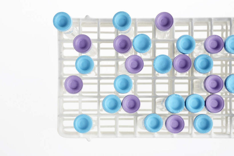 无人,横图,俯视,室内,特写,白天,白色背景,实验,静物,一排,许多,研究,整齐,分析,化学,测试,试管,试管架,架子,排列,蓝色,紫色,摄影,影棚,队列,试验耗材,实验用品,彩图,高角度拍摄,影棚拍摄,拍摄