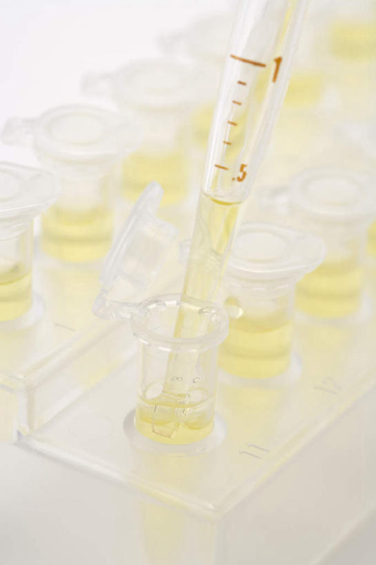 无人,竖图,俯视,室内,特写,白天,白色背景,实验,仪器,水,桌面,桌子,杯子,一排,许多,研究,整齐,透明,分析,科学,化学,测量,测试,木制,试管,试管架,试剂,液体,刻度,水滴,架子,玻璃制品,排列,一个,黄色,玻璃瓶,木制品,瓶子,器皿,摄影,影棚,单个,精密,科研,队列,精准,化验,精细,检验,计量,玻璃仪器,试验耗材,实验用品,吸液管,量仪,玻璃杯,彩图,高角度拍摄,影棚拍摄,拍摄