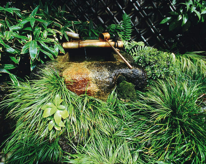 无人,栏杆,横图,俯视,室外,白天,草地,草坪,森林,树林,植物,日本,亚洲,阴影,朦胧,模糊,日本文化,光线,木勺,影子,栅栏,勺子,篱笆,水池,围栏,文化,传统,护栏,草,树,树木,绿色,阳光,生长,成长,东亚,日本国,彩图,高角度拍摄