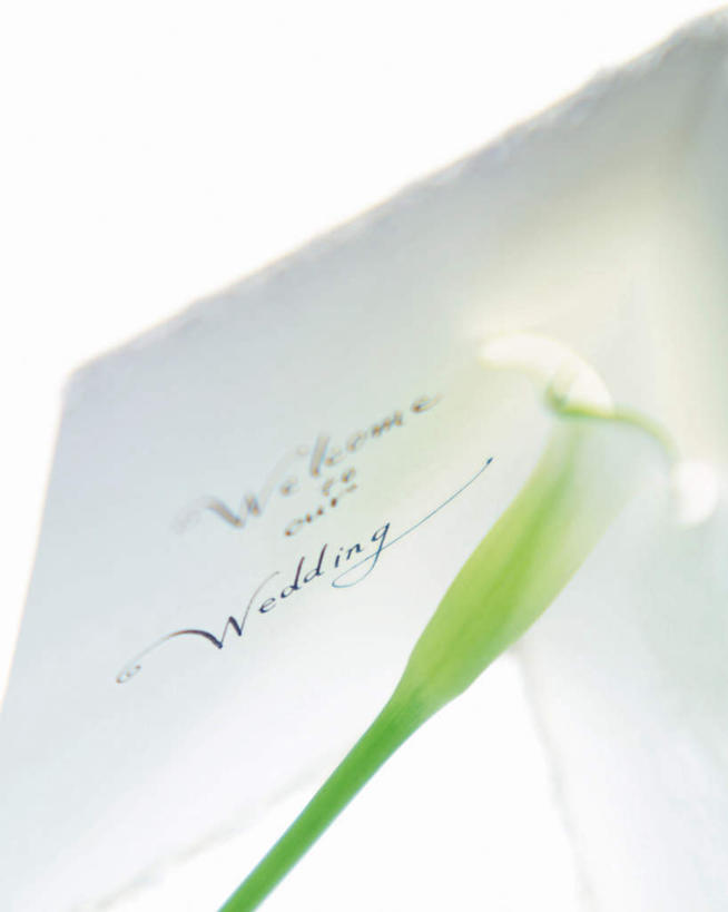 无人,竖图,俯视,室内,特写,白天,婚礼,快乐,纯洁,马蹄莲,阴影,朦胧,模糊,庆祝,装饰,光线,标志,文字,信封,影子,字符,字母,结婚,标识,虔诚,阳光,喜庆,纪念,希望,优雅,华丽,修饰,点缀,高贵,邀请,请帖,纯净,马蹄兰,博爱,永恒,尊贵,高洁,慈菇花,衬托,美观,雅致,雅观,圣洁,水芋,水芋马,彩图,高角度拍摄,高兴,请柬