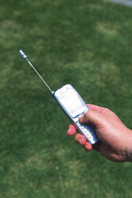 无人,竖图,俯视,室外,特写,白天,爱情,婚礼,快乐,幸福,纯洁,热情,玫瑰,阴影,朦胧,模糊,庆祝,装饰,光线,标志,文字,信封,影子,字符,字母,玫瑰花,结婚,浪漫,标识,阳光,温暖,温馨,喜庆,恩爱,纪念,华丽,修饰,点缀,和睦,邀请,请帖,感动,衬托,美观,雅致,雅观,尊敬,天真,刺玫花,徘徊花,彩图,高角度拍摄,高兴,融洽,请柬