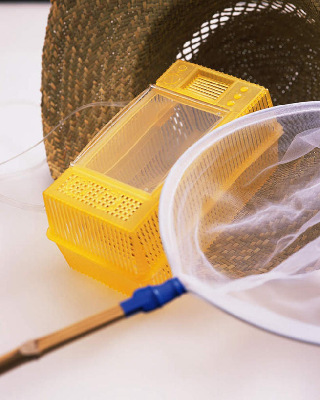 无人,竖图,俯视,室内,白天,帽子,日本,亚洲,阴影,朦胧,模糊,日本文化,光线,草帽,影子,纸盒,塑料,捕虫网,文化,传统,盒子,阳光,塑料制品,扫网,水网,东亚,日本国,扑网,彩图,高角度拍摄