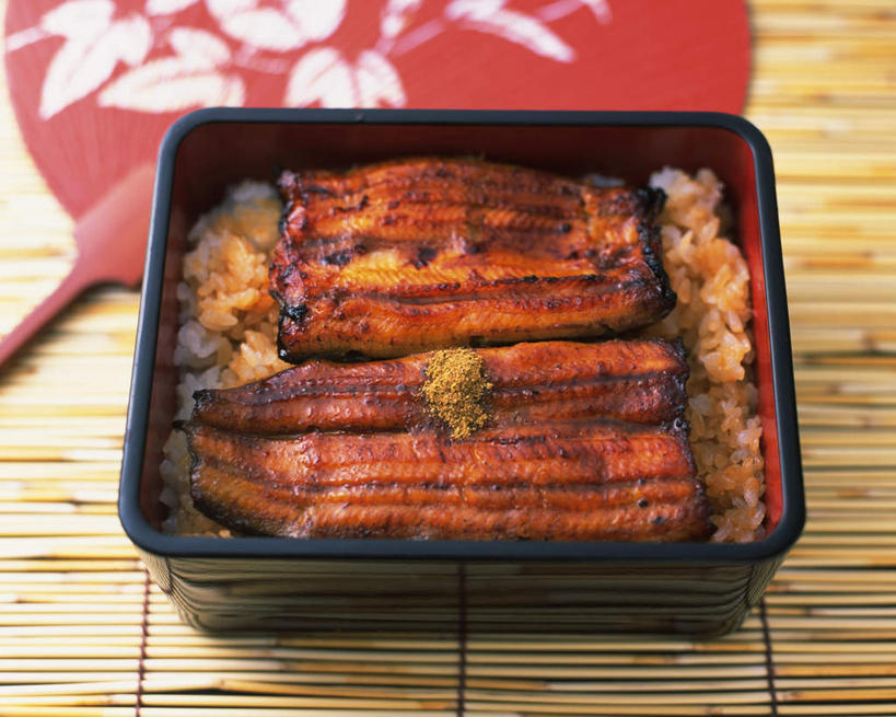 米饭,鳗鱼,无人,横图,俯视,室内,特写,白天,烹饪,鳗鲡,静物,扇子,日本料理,料理,食品,饭,榻榻米,菜肴,美食,食物,一个,红色,日式料理,日式,佳肴,单个,便当盒,五谷,河鳗,白鳗,青鳝,风馒,白鳝,彩图,高角度拍摄