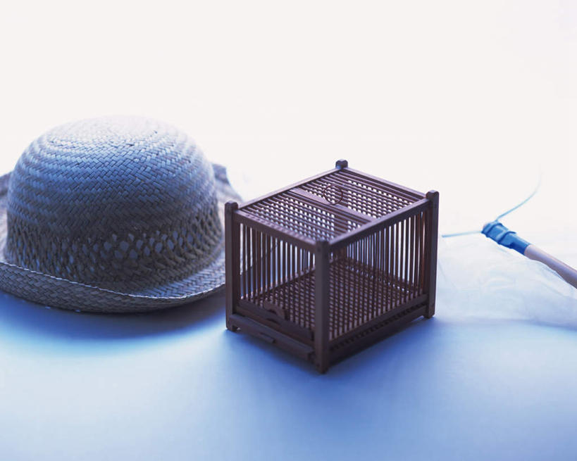 无人,横图,俯视,室内,白天,白色背景,桌面,桌子,帽子,草帽,捕虫网,笼子,摄影,影棚,扫网,水网,一顶,扑网,彩图,高角度拍摄,影棚拍摄,拍摄