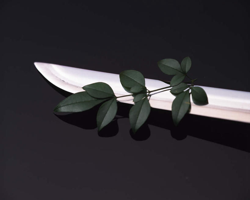 无人,横图,俯视,室内,特写,白天,竞争,静物,叶子,一把,对抗,日本文化,冲突,武士刀,绿叶,刀具,破坏,文化,刀,嫩叶,武器,战争,损坏,攻击,威胁,对立,矛盾,兵器,防御,日本刀,敌对,挫败,斗争,抗拒,抗衡,冷兵器,凶器,杀伤,威慑,东洋刀,东瀛刀,日本武士刀,危险,叶,叶片,彩图,高角度拍摄