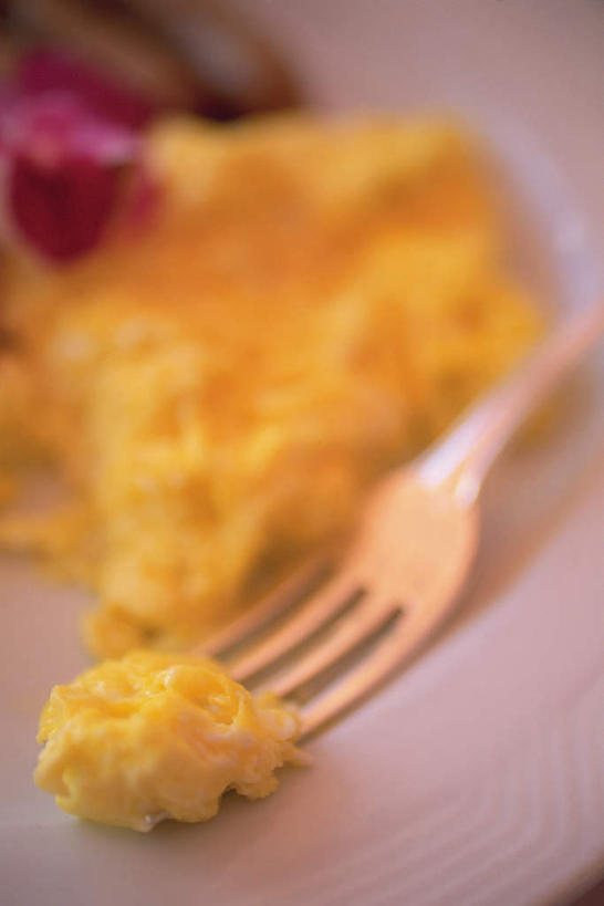 无人,竖图,俯视,室内,特写,白天,餐具,朦胧,模糊,叉子,碟子,盘,蛋,鸡蛋,一个,盘子,碟,摄影,影棚,单个,餐叉,草鸡蛋,摊鸡蛋,进餐用具,烹调用具,彩图,高角度拍摄,影棚拍摄,拍摄