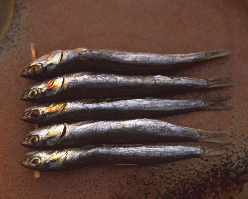 海鲜,无人,横图,俯视,室内,特写,白天,餐桌,桌子,静物,许多,鱼,烤鱼,水产,鱼类,五条,餐台,海产品,胡瓜鱼,多春鱼,毛鳞鱼,柳叶鱼,池沼公鱼,桦太柳叶鱼,彩图,高角度拍摄