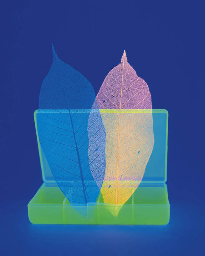 无人,竖图,室内,特写,白天,正面,数码,科技,静物,叶子,两片,阴影,蓝色背景,网络,绿叶,收纳盒,高光,几何,计算机图形,合成,盒子,红色,蓝色,绿色,嫩叶,电脑合成图,数码合成图,写实,具体,具象,叶,叶片,彩图