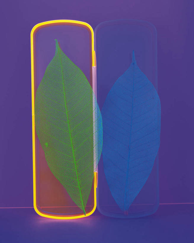 无人,竖图,俯视,室内,特写,白天,数码,科技,静物,叶子,两片,阴影,紫色背景,网络,绿叶,办公用品,高光,几何,计算机图形,合成,铅笔盒,文具,学习用品,嫩叶,文具用品,电脑合成图,数码合成图,笔盒,写实,具体,具象,叶,叶片,彩图,高角度拍摄