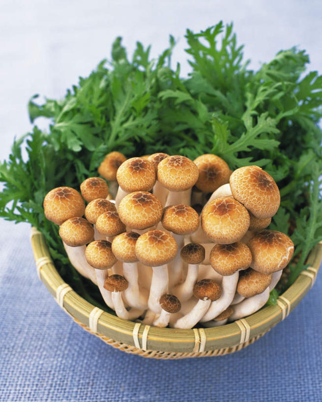 无人,餐厅,竖图,俯视,室内,特写,白天,餐桌,桌子,蔬菜,叶子,新鲜,篮子,菌菇,食品,绿叶,菌类,平菇,食物,嫩叶,食用菌,摄影,有机食品,绿色食品,影棚,餐台,姬菇,糙皮侧耳,侧耳,黑牡丹菇,叶,叶片,彩图,高角度拍摄,影棚拍摄,拍摄,餐馆,饭店,饭馆