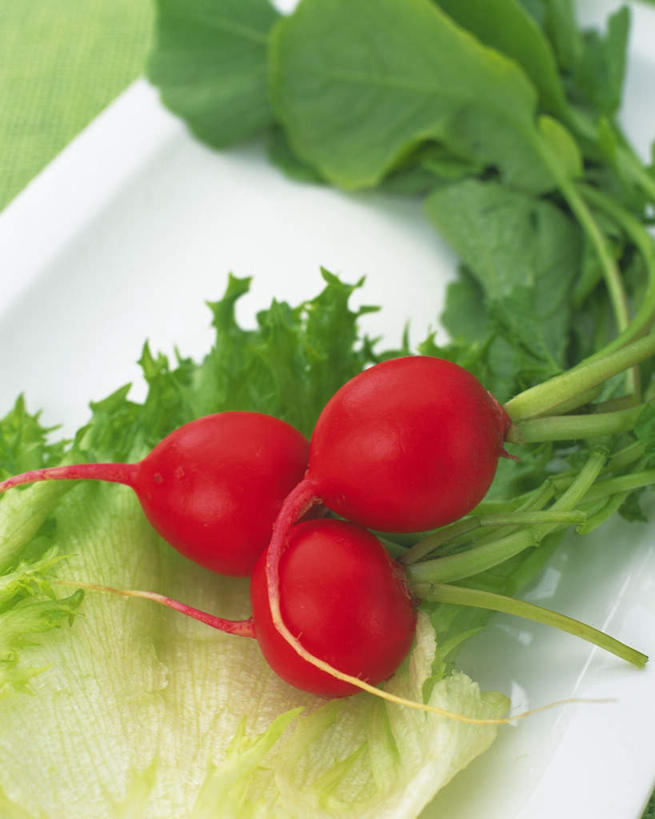 无人,竖图,俯视,室内,特写,白天,萝卜,蔬菜,叶子,新鲜,食品,绿叶,食物,三个,红色,嫩叶,摄影,有机食品,绿色食品,影棚,水萝卜,叶,叶片,彩图,高角度拍摄,影棚拍摄,拍摄