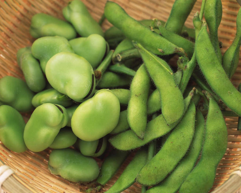 无人,横图,俯视,室内,特写,白天,植物,豆,大豆,静物,一堆,许多,堆叠,堆积,篮子,豆类,豆子,毛豆,蚕豆,胡豆,佛豆,川豆,倭豆,罗汉豆,绿色,摄影,影棚,堆,豆科,枝豆,黄豆,彩图,高角度拍摄,影棚拍摄,拍摄