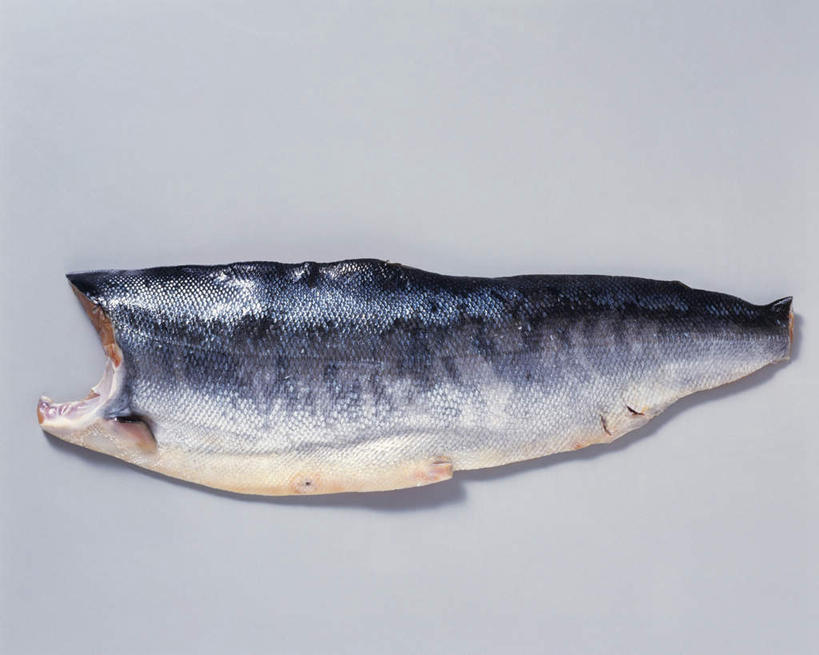 三文鱼,无人,横图,俯视,室内,特写,白天,白色背景,鲑鱼,一片,切开,肉,肉类,切,摄影,影棚,大马哈鱼,剖面,肉食,切面,撒蒙鱼,萨门鱼,冰海之皇,鲑,彩图,高角度拍摄,影棚拍摄,拍摄