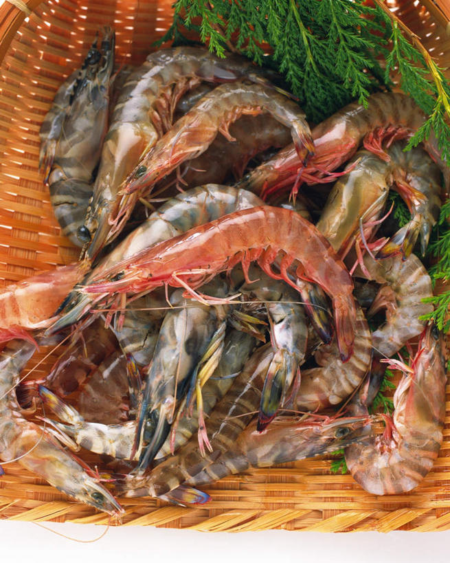 无人,竖图,俯视,室内,特写,白天,白色背景,叶子,一堆,许多,堆叠,堆积,装饰,篮子,绿叶,基围虾,海洋生物,一个,绿色,嫩叶,摄影,影棚,单个,堆,海草,华丽,修饰,点缀,水生动物,水生物,海底动物,衬托,美观,雅致,雅观,刀额新对虾,麻虾,新对虾,叶,叶片,彩图,高角度拍摄,影棚拍摄,拍摄