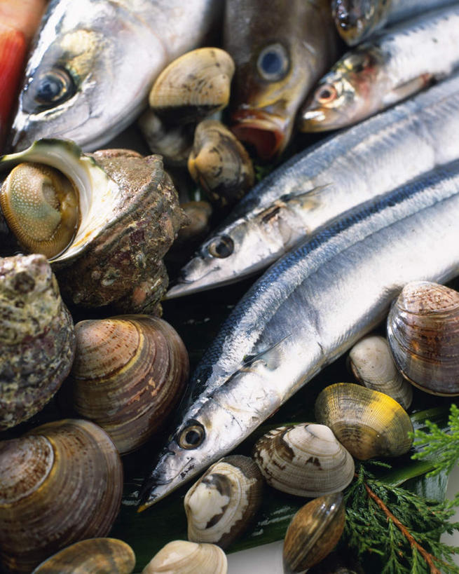 海鲜,无人,竖图,俯视,室内,特写,白天,贝壳,叶子,许多,秋刀鱼,鱼,绿叶,鲭鱼,蛤蜊,水产,海洋生物,红色,嫩叶,蛤,竹刀鱼,海草,刀鱼,花池鱼,花鲱,花鳀,马鲛鱼,青花鱼,鲐鲅鱼,油胴鱼,水生动物,海产品,水生物,螺蛳,海底动物,田螺,蛤仔,蓝点马鲛鱼,鰆鱼,鱍鱼,竹鲛,土魠鱼,马加,梭齿土魠鱼,蜗篱,师螺,蜗蠃,方田螺,滨螺,厚壳玉黍螺,叶,叶片,贝类外壳,海螺壳,软体动物外壳,彩图,高角度拍摄