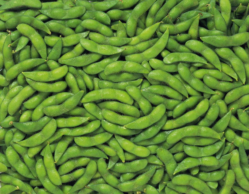 无人,横图,俯视,室内,特写,白天,植物,豆,大豆,蔬菜,一堆,许多,堆叠,堆积,新鲜,豆类,豆子,毛豆,食品,食物,绿色,有机食品,绿色食品,堆,豆科,枝豆,黄豆,彩图,高角度拍摄