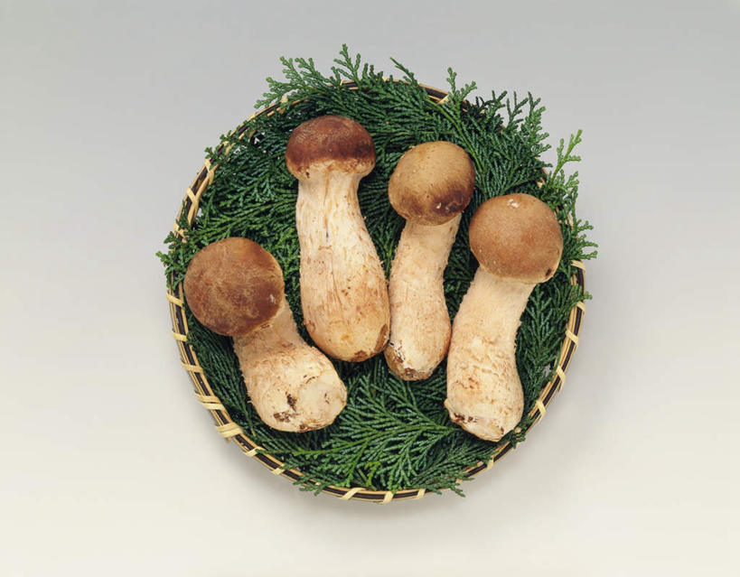 无人,横图,俯视,室内,特写,白天,白色背景,蔬菜,许多,竹制,新鲜,篮子,菌菇,蘑菇,食品,菌类,竹扁,食物,一个,绿色,竹筐,四个,食用菌,海藻,摄影,有机食品,绿色食品,影棚,竹编,单个,海草,竹制品,彩图,高角度拍摄,影棚拍摄,拍摄