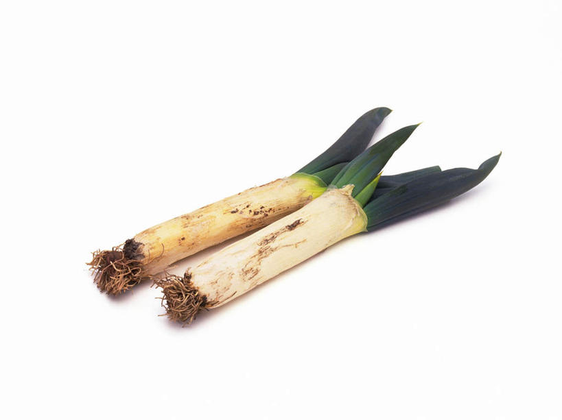 无人,横图,俯视,室内,特写,白天,白色背景,蔬菜,叶子,两根,两棵,新鲜,葱,大葱,食品,绿叶,食物,嫩叶,摄影,有机食品,绿色食品,影棚,叶,叶片,彩图,高角度拍摄,影棚拍摄,拍摄