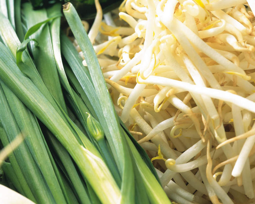 无人,横图,俯视,室内,特写,白天,白色背景,蔬菜,一堆,许多,阴影,堆叠,堆积,新鲜,光线,影子,豆芽,黄豆芽,韭菜,食品,食物,绿色,阳光,摄影,有机食品,绿色食品,影棚,堆,豆芽菜,起阳草,芽苗菜,韭,山韭,长生韭,彩图,高角度拍摄,影棚拍摄,拍摄