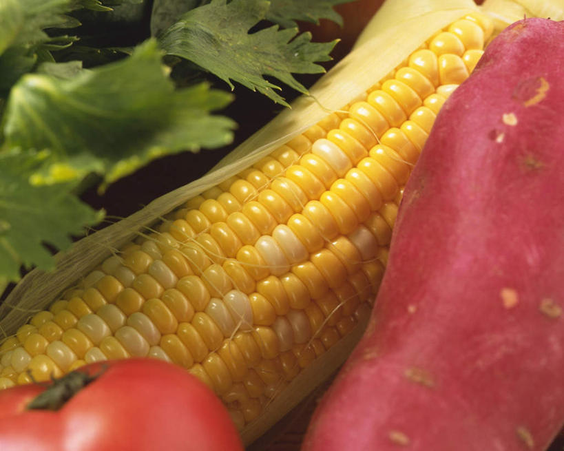 无人,横图,俯视,室内,特写,白天,白色背景,玉米,红薯,芹菜,蔬菜,西红柿,一堆,许多,阴影,堆叠,堆积,新鲜,光线,棒子,影子,玉蜀黍,食品,食物,一个,红色,阳光,摄影,有机食品,绿色食品,影棚,单个,堆,苞米,苞芦,苞谷,包谷,大蜀黍,番麦,薏米包,玉高粱,玉麦,珍珠米,药芹,水芹,山芋,旱芹,甘薯,番薯,番茄,地瓜,彩图,高角度拍摄,影棚拍摄,拍摄