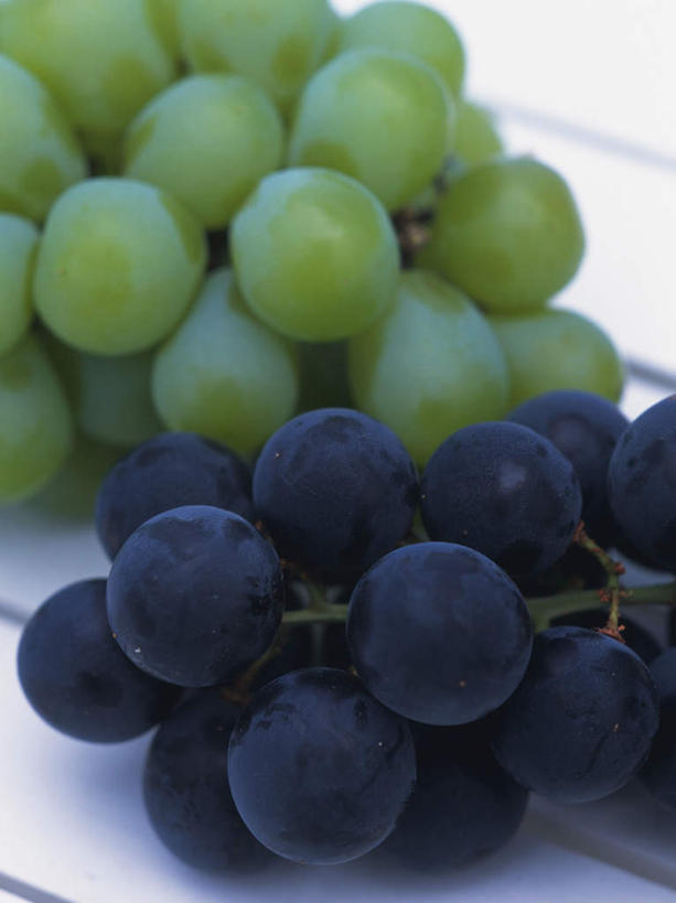 无人,竖图,俯视,室内,特写,白天,地板,葡萄,水果,一排,阴影,新鲜,整齐,光线,影子,生食,食品,果实,地面,两串,木地板,食物,排列,绿色,紫色,阳光,有机食品,绿色食品,队列,山葫芦,蒲桃,草龙珠,彩图,高角度拍摄