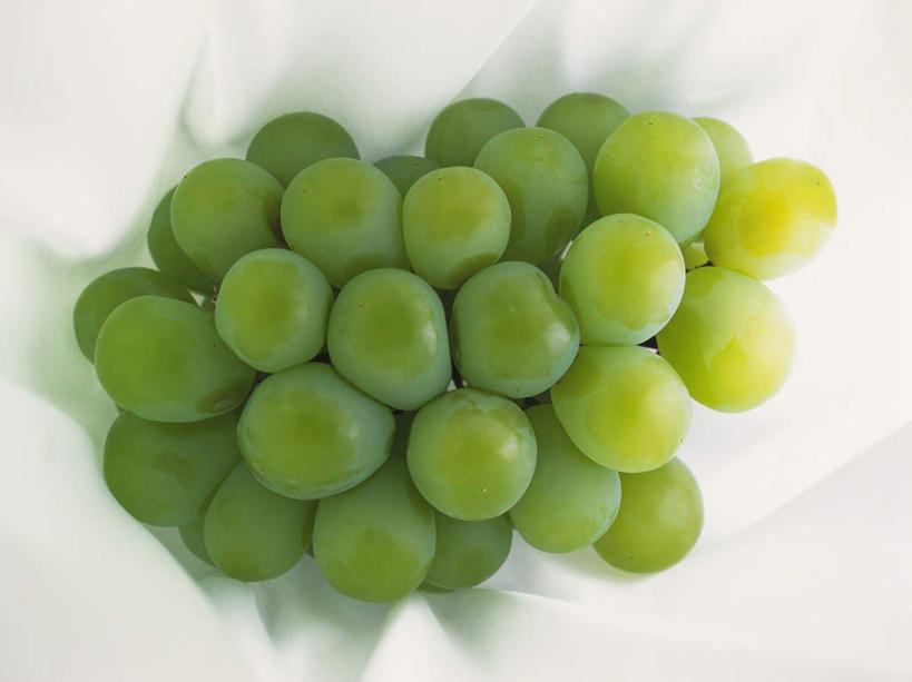 无人,横图,俯视,室内,特写,白天,白色背景,葡萄,水果,一串,阴影,新鲜,光线,布,影子,生食,食品,果实,食物,白色,阳光,有机食品,绿色食品,山葫芦,蒲桃,草龙珠,彩图,高角度拍摄
