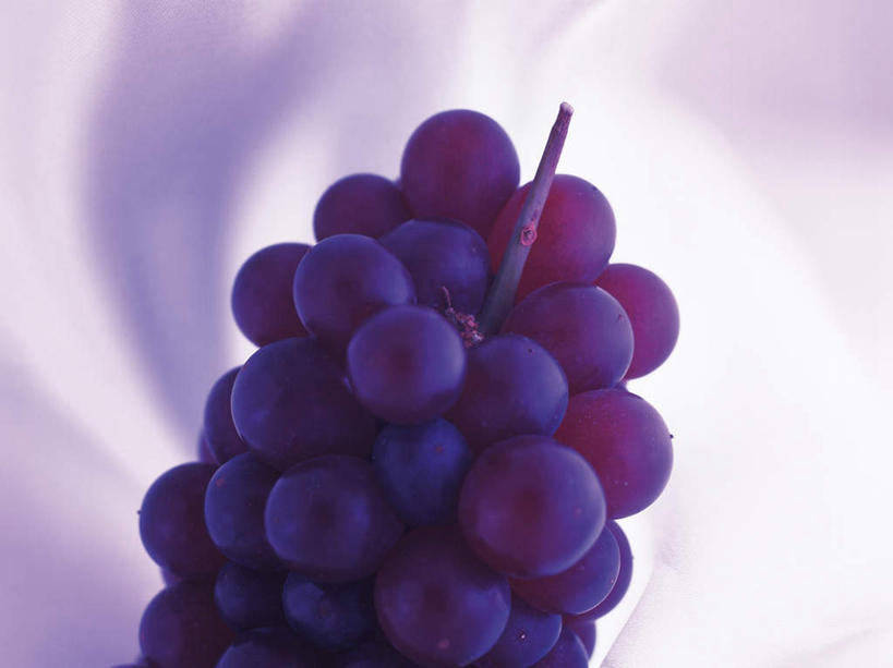 无人,横图,俯视,室内,特写,白天,葡萄,水果,一串,紫色背景,漂浮,新鲜,生食,食品,果实,半空,食物,紫色,有机食品,绿色食品,山葫芦,蒲桃,草龙珠,彩图,高角度拍摄