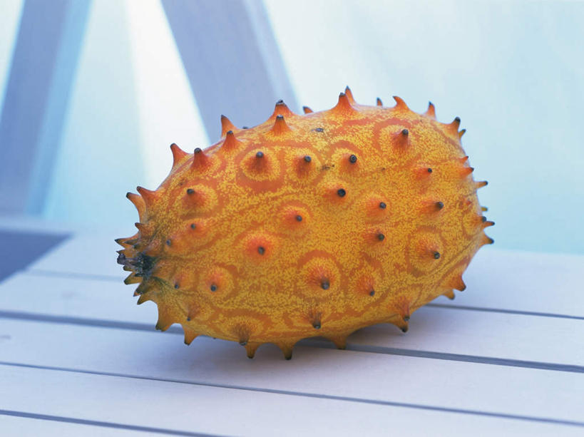 无人,横图,俯视,室内,特写,白天,地板,水果,一排,阴影,蓝色背景,新鲜,整齐,光线,纹路,影子,生食,食品,果实,刺角瓜,非洲角瓜,地面,木地板,食物,排列,一个,黄色,阳光,刺,有机食品,绿色食品,单个,尖锐,队列,非洲黄瓜,非洲角黄瓜,彩图,高角度拍摄