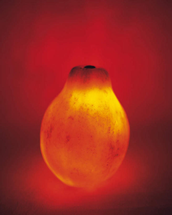 无人,竖图,室内,特写,白天,正面,水果,阴影,红色背景,朦胧,模糊,新鲜,发光,反射,光线,影子,生食,食品,果实,食物,一个,红色,闪耀,有机食品,绿色食品,单个,树番茄,明亮,彩图