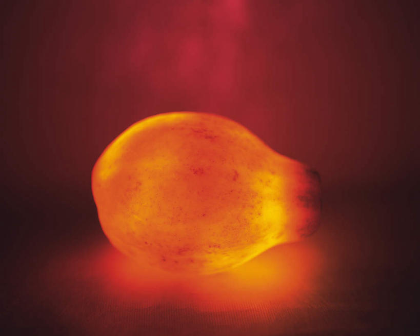 无人,横图,室内,特写,白天,正面,水果,阴影,红色背景,朦胧,模糊,新鲜,发光,反射,光线,影子,生食,食品,果实,食物,一个,红色,闪耀,有机食品,绿色食品,单个,树番茄,明亮,彩图