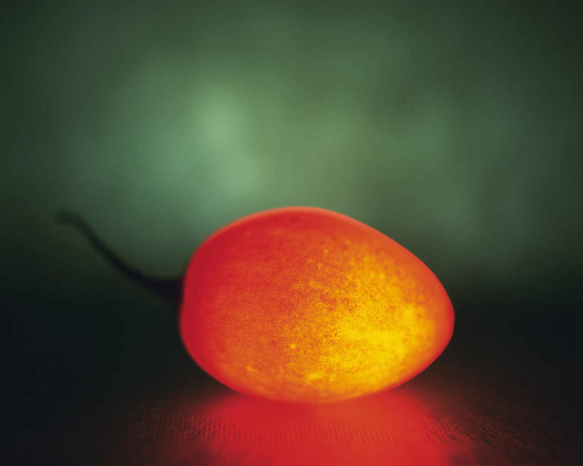 无人,横图,室内,特写,白天,正面,水果,阴影,灰色背景,朦胧,模糊,新鲜,发光,反射,光线,影子,生食,食品,果实,食物,一个,红色,黑色,闪耀,有机食品,绿色食品,单个,树番茄,明亮,彩图