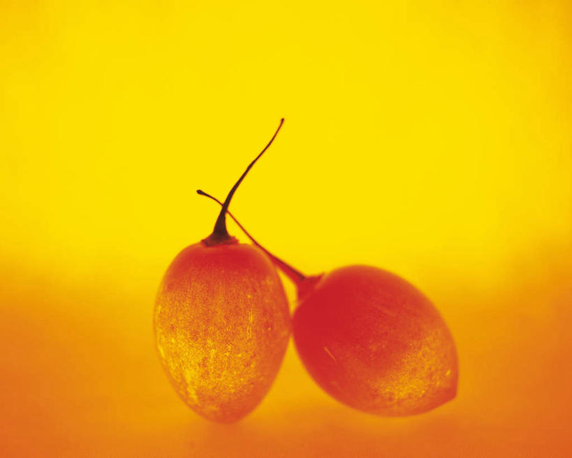 无人,横图,室内,特写,白天,正面,水果,阴影,红色背景,朦胧,模糊,新鲜,发光,反射,光线,影子,生食,食品,果实,食物,两个,黄色,红色,闪耀,有机食品,绿色食品,树番茄,明亮,彩图