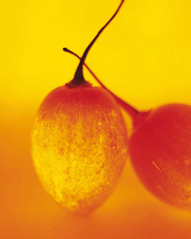 无人,竖图,室内,特写,白天,正面,水果,阴影,红色背景,朦胧,模糊,新鲜,发光,反射,光线,影子,生食,食品,果实,食物,两个,黄色,闪耀,有机食品,绿色食品,树番茄,明亮,彩图