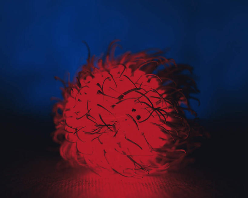 无人,横图,室内,特写,白天,背景,正面,水果,阴影,朦胧,模糊,新鲜,发光,反射,光线,影子,生食,食品,果实,食物,一个,红色,蓝色,黑色,闪耀,有机食品,绿色食品,单个,红毛丹,明亮,韶子,毛龙眼,毛荔枝,彩图