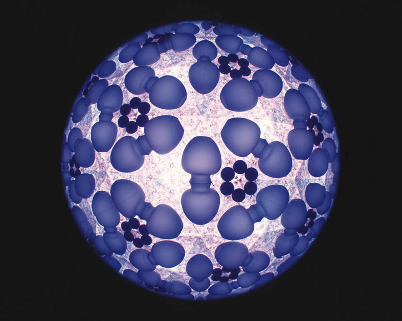 无人,横图,室内,特写,白天,正面,万花筒,一排,许多,黑色背景,花纹,条纹,整齐,盛开,结构,圆形,图案,花蕾,花,花瓣,花朵,鲜花,排列,一个,粉色,紫色,框架,花苞,花蕊,摄影,影棚,单个,轮廓,耀眼,明亮,队列,彩图,影棚拍摄,拍摄